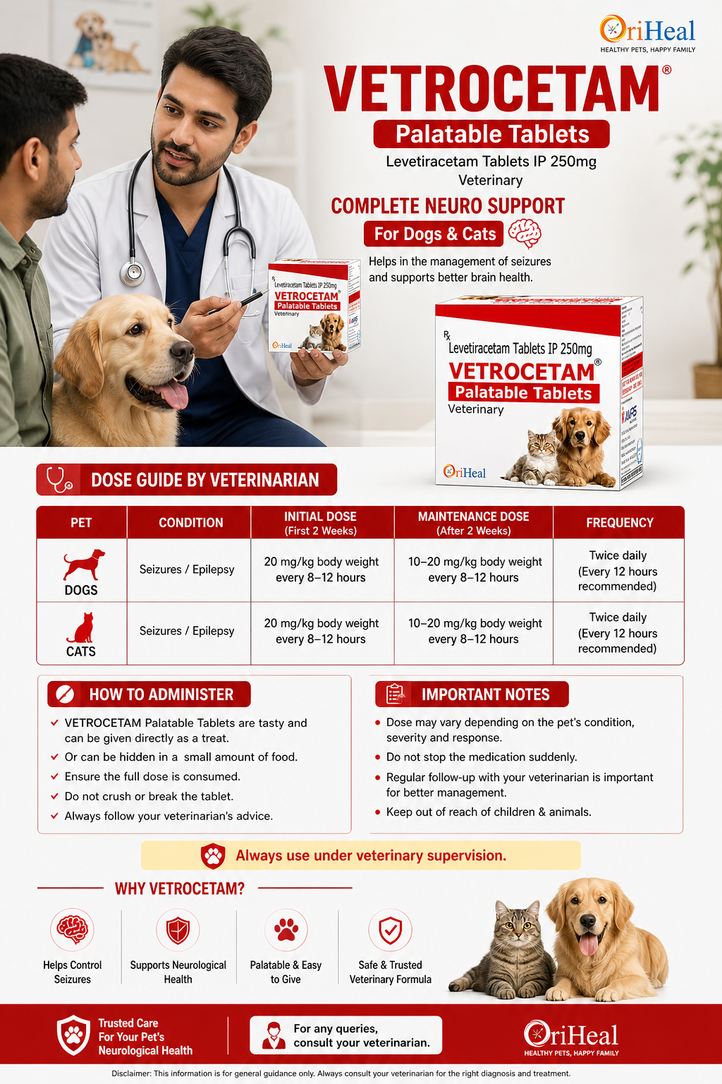 Veterinarian explaining VETROCETAM Levetiracetam 250 mg tablets for dogs and cats, pet medicine used to help manage seizures, epilepsy, and support brain health under veterinary guidance