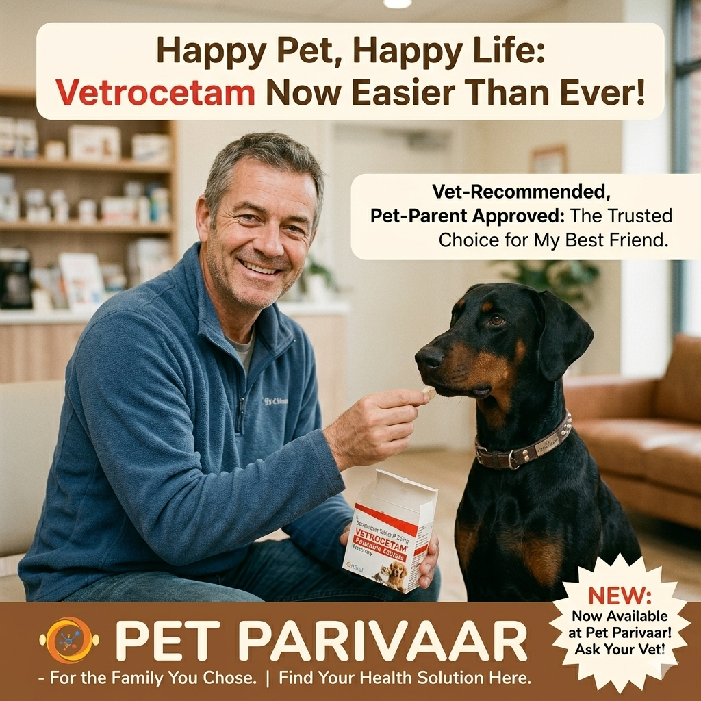 Levetiracetam for Dogs and Cats - Vetrocetam 250mg Tablets - Image 3