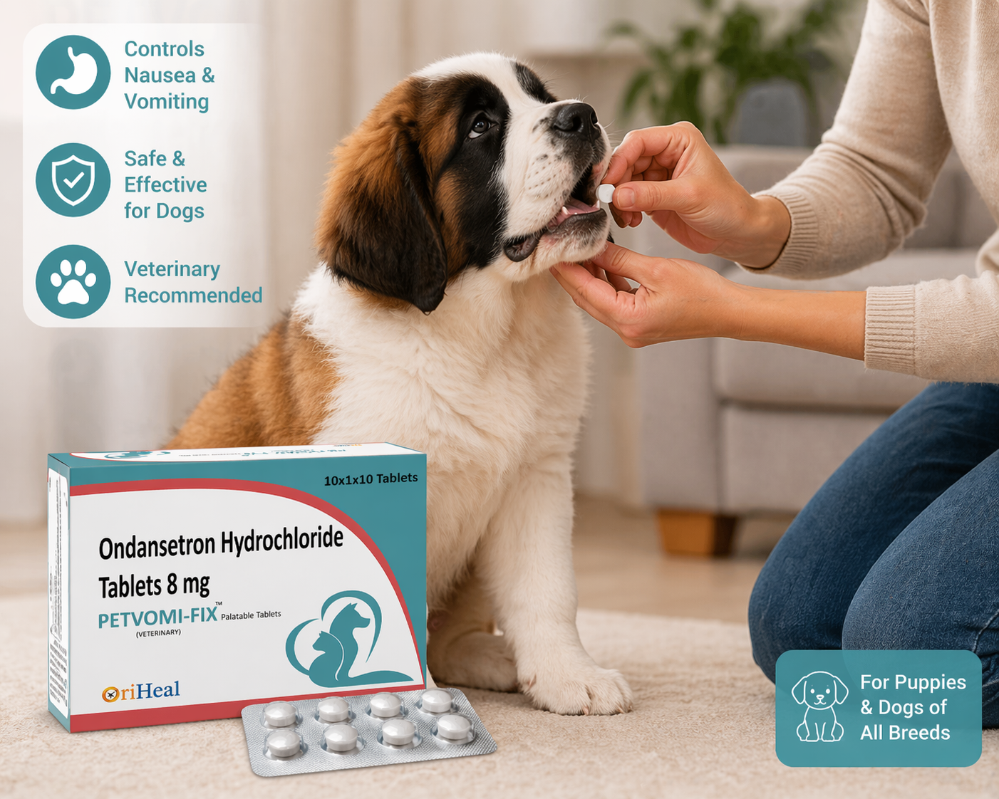 PETVOMI-FIX Ondansetron for Dogs - Image 3