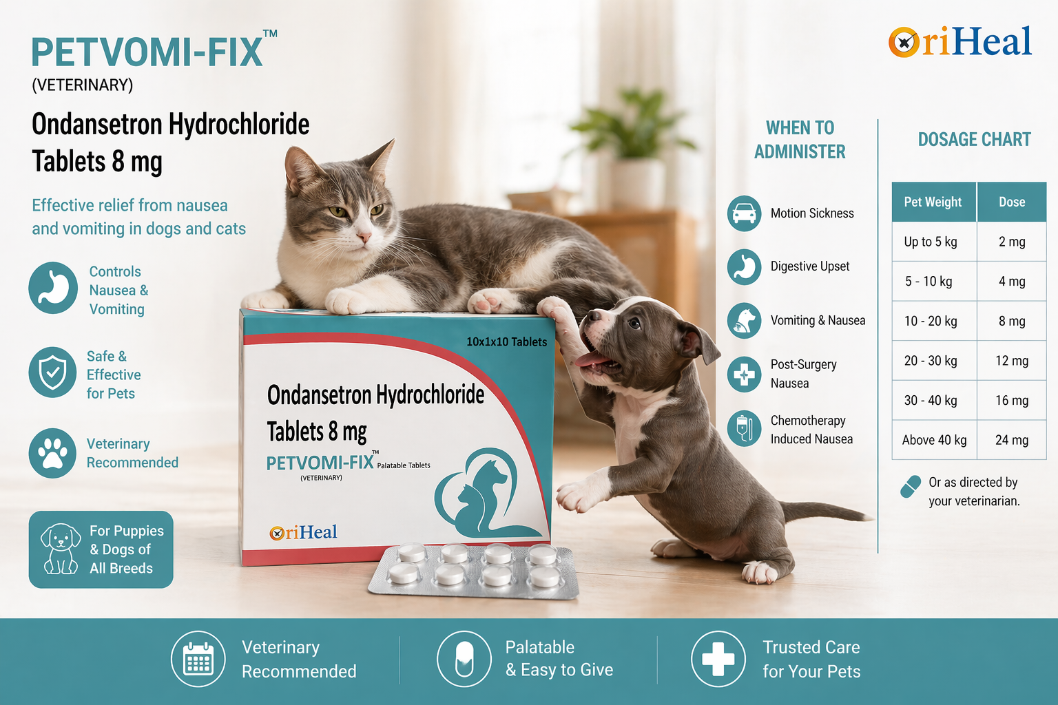 PETVOMI-FIX Ondansetron for Dogs - Image 2