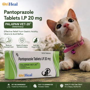 pantoprazole 20mg veterinary tablets for dogs and cats
