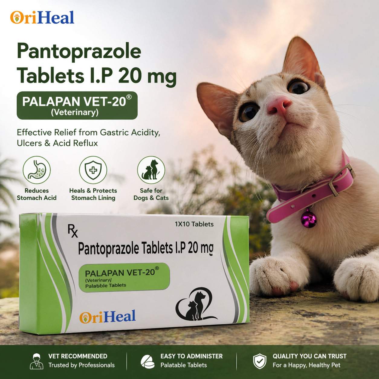 pantoprazole 20mg veterinary tablets for dogs and cats