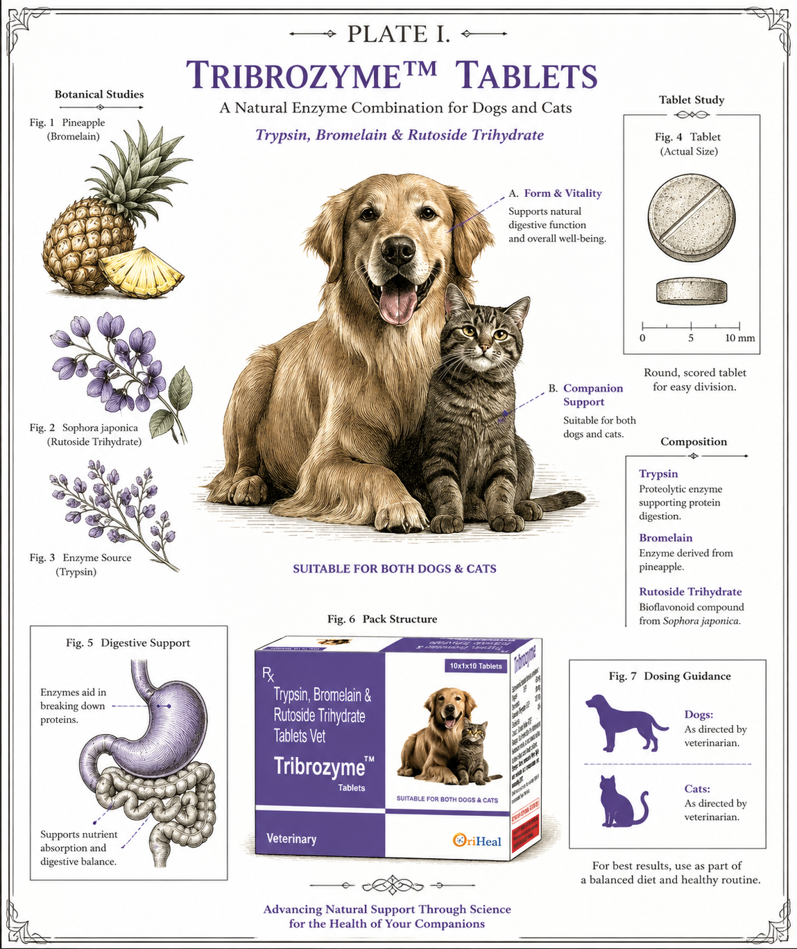 Tribozyme Tablets packaging showing a dog and cat for veterinary inflammation support.