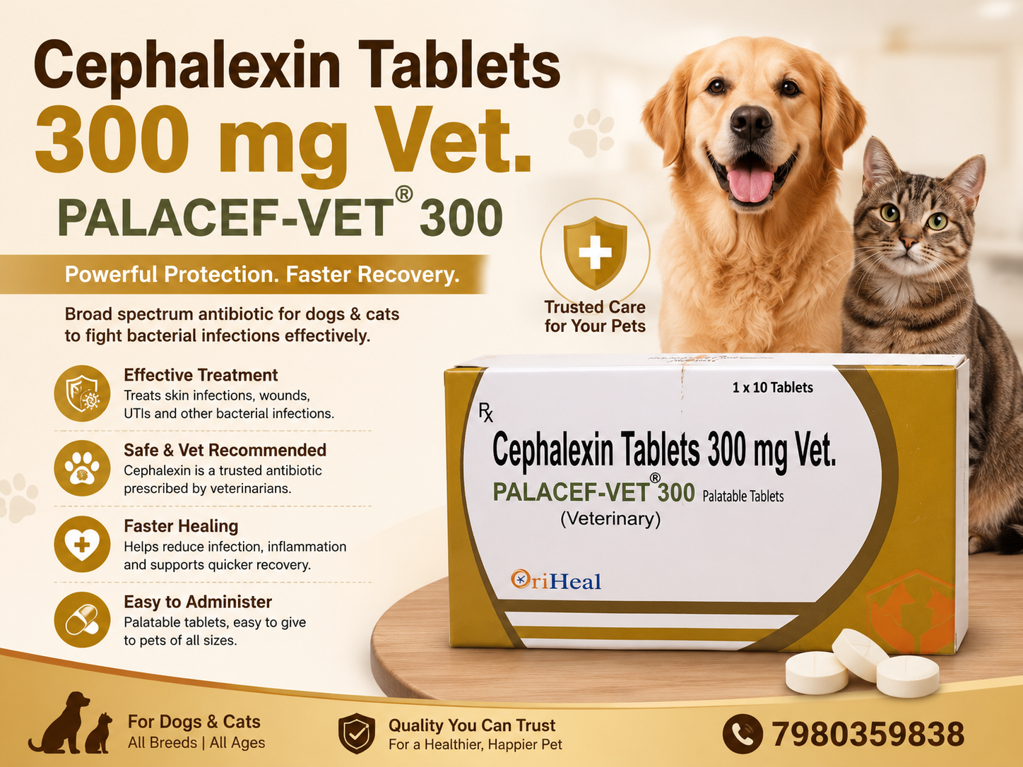 Palacef Vet 300mg Cephalexin Tablets for dogs used to treat bacterial infections like skin wounds and UTIs with fast recovery support