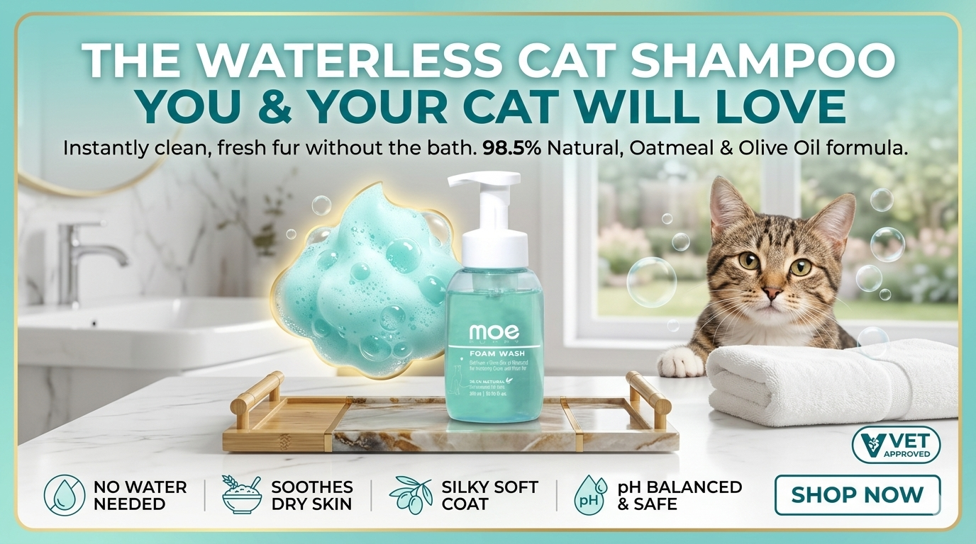 A premium e-commerce hero banner for Moe Puppy Foam Wash featuring a teal-colored bottle on a marble tray. Beside the product, a calm tabby cat is positioned next to a clean white towel in a bright, modern bathroom setting. The banner includes benefit icons for waterless cleaning and a "Shop Now" button.