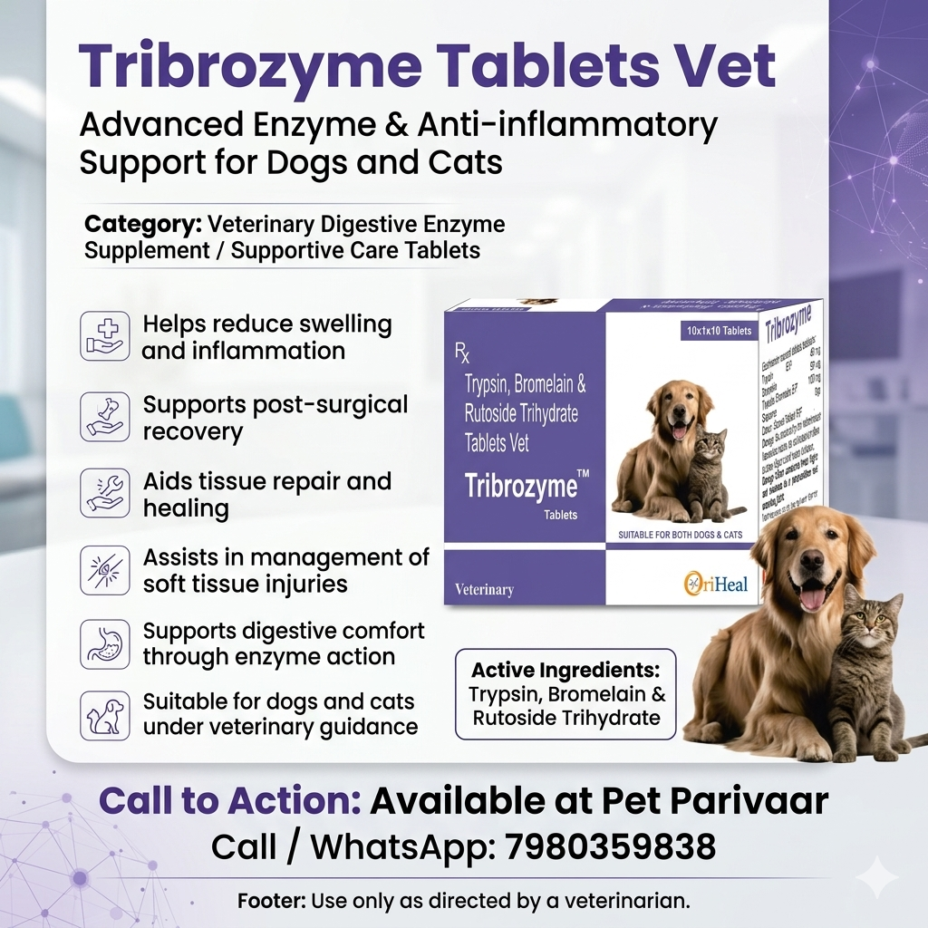 Tribrozyme Tablets | Recovery Support for Dogs & Cats - Image 2