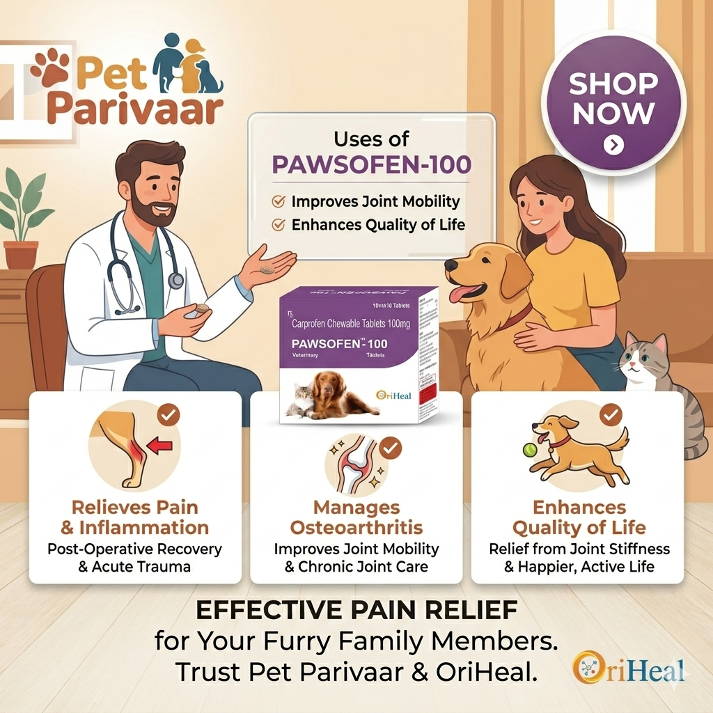 Pawsofen 100mg: Carprofen Chewable Tablets - Image 2