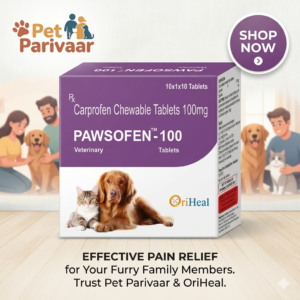 Pawsofen 100mg Carprofen Chewable Tablets for dogs and pets