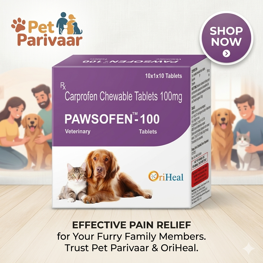 Pawsofen 100mg Carprofen Chewable Tablets for dogs and pets
