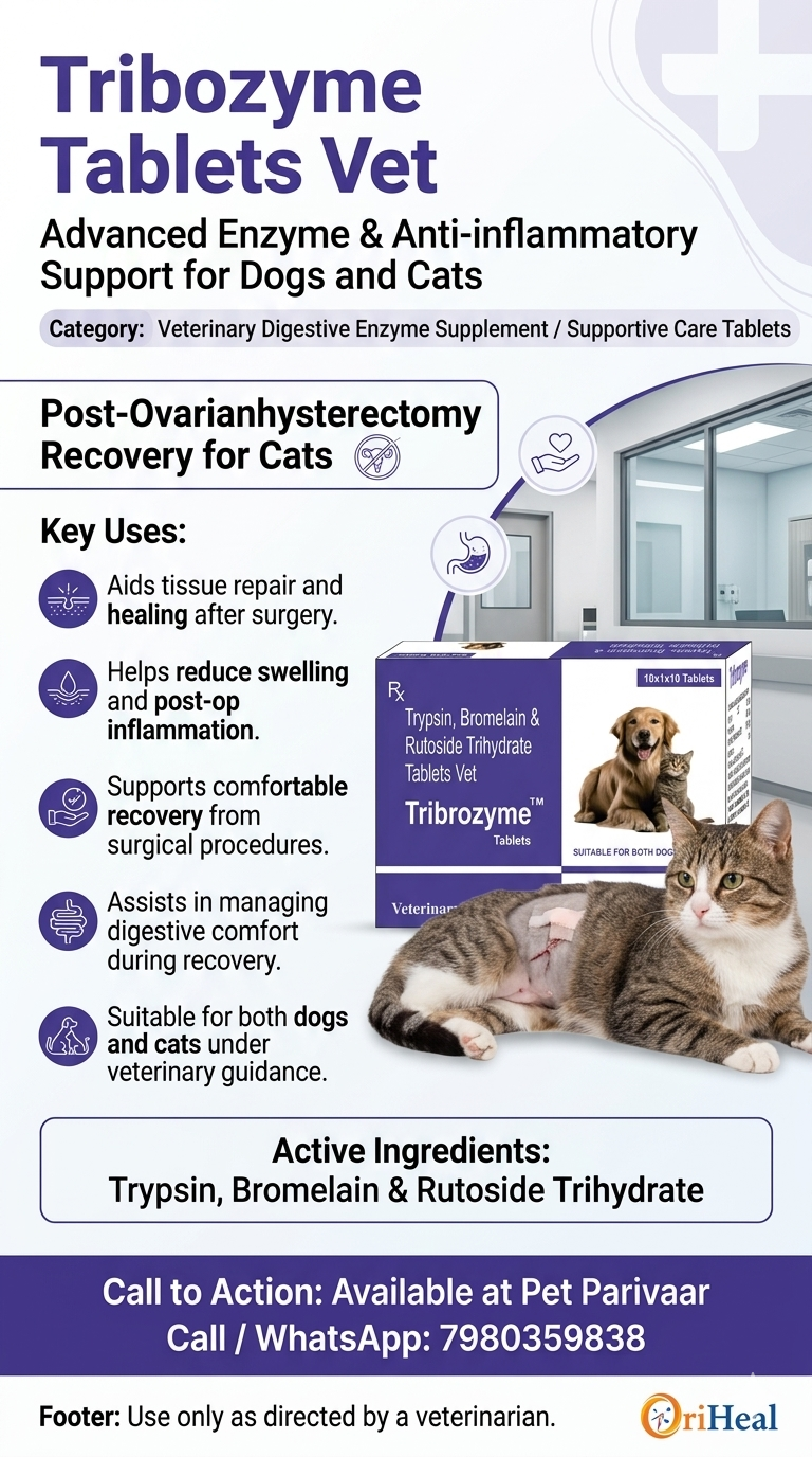 Tribrozyme Tablets for dogs and cats veterinary recovery supplement