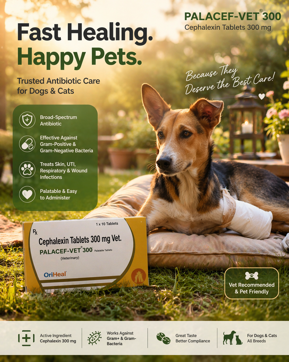 Palacef Vet 300mg antibiotic tablets for dog infection care