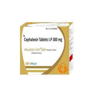 Palacef Vet 300mg Cephalexin Tablets for Dogs | Treat Bacterial Infections Fast