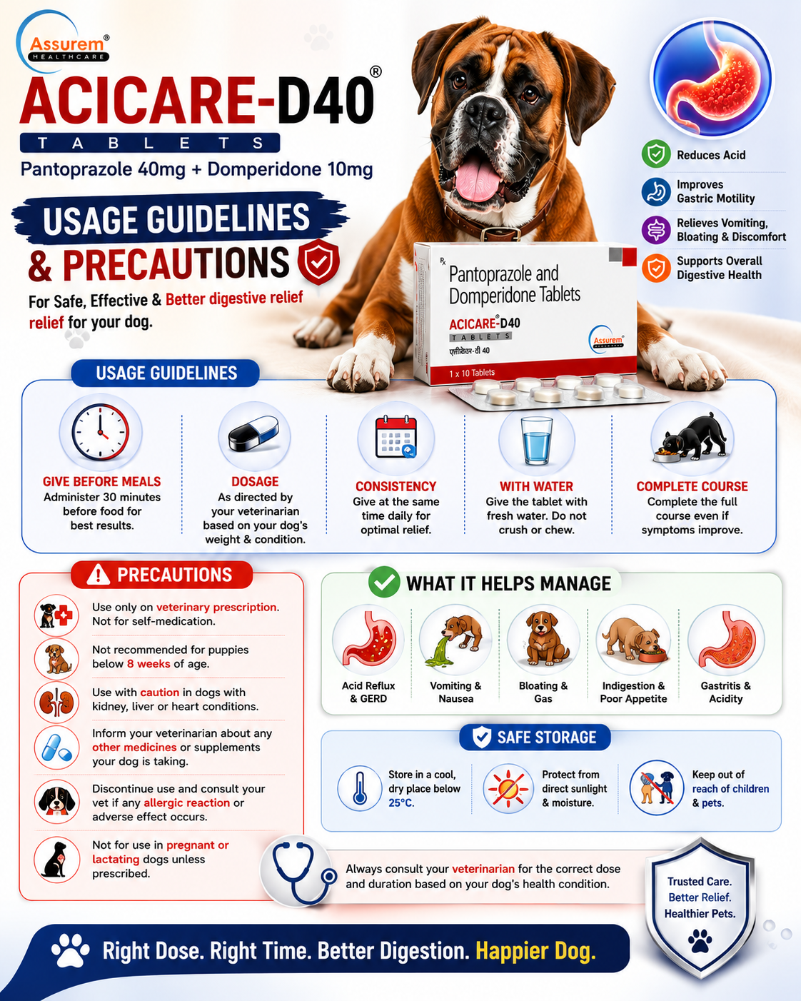 Educational poster showing ACICARE-D40 Tablets usage guidelines and precautions for dogs, including dosage instructions, administration tips, safety recommendations, storage guidelines, and veterinary consultation advice.
