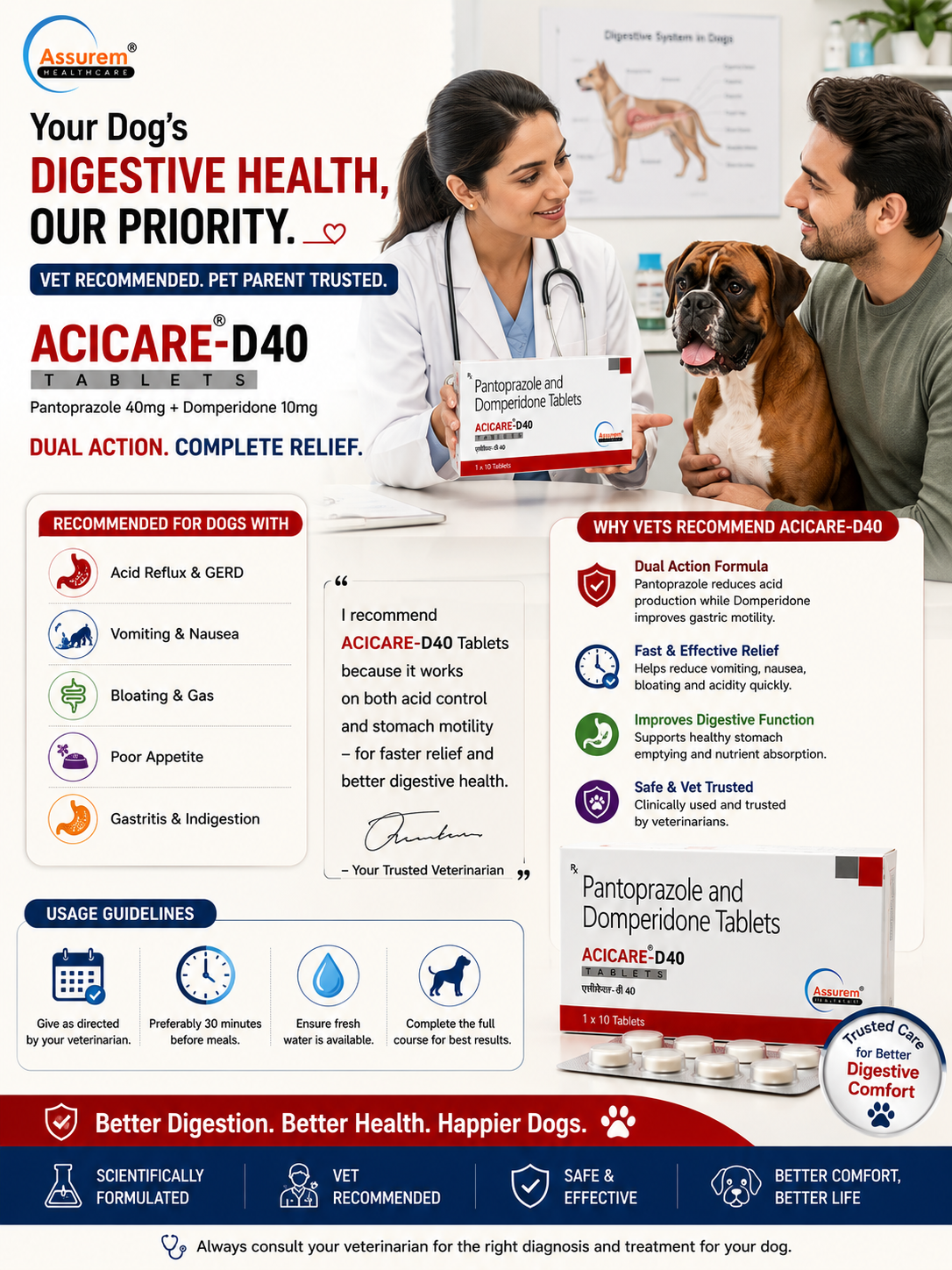 Professional veterinary consultation scene featuring a veterinarian recommending ACICARE-D40 Tablets to a pet parent with a Boxer dog, highlighting digestive health support, acid reflux management, and gastrointestinal comfort.